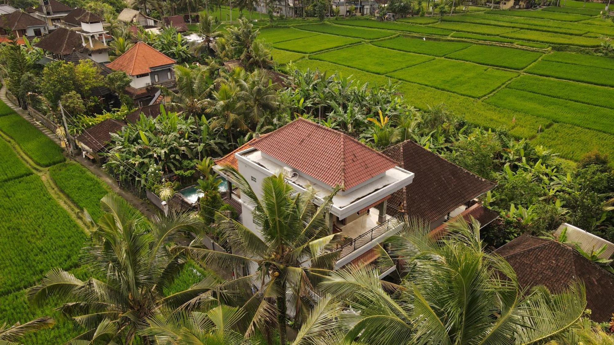 Nirwa 1 Ubud Guesthouse Exterior foto